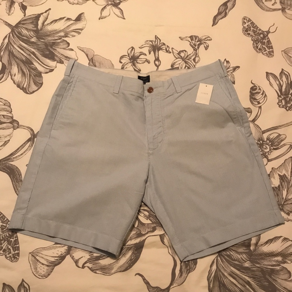 NWT Sunwashed Oxford Pinstriped Shorts.